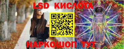 стафф Будённовск